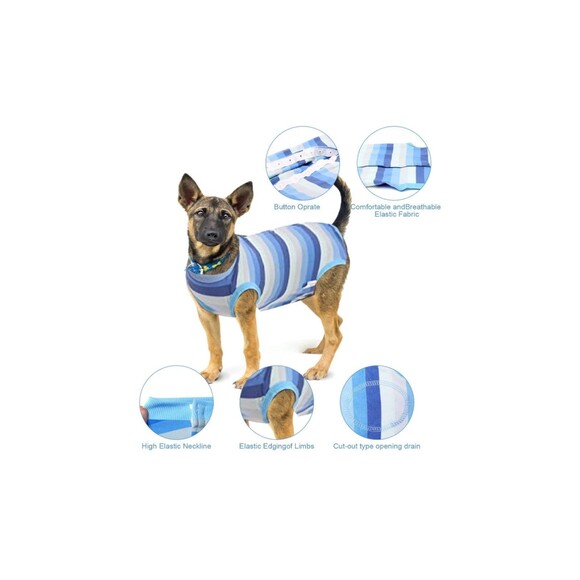 Recovery Suit For Dogs - Picture 3 of 8